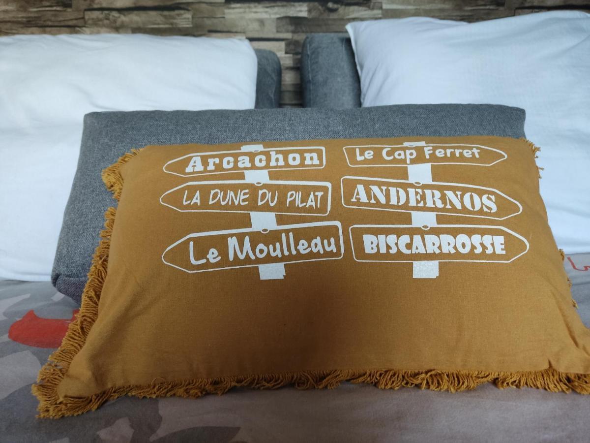 Homestay Independante Avec Piscine