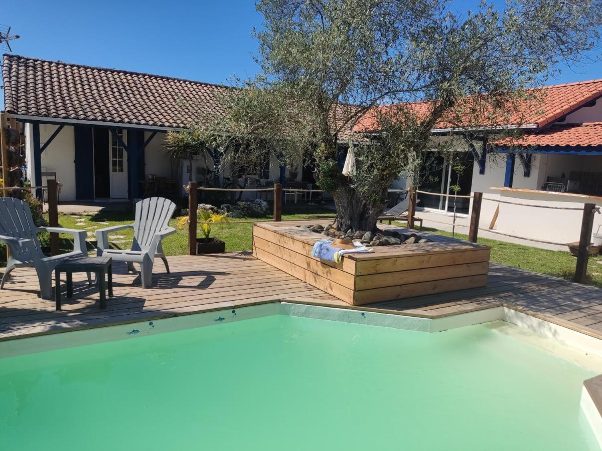 Independante Avec Piscine Homestay *
